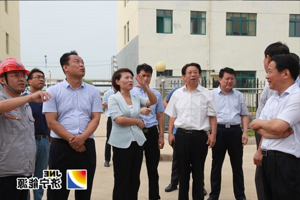 金乡县县委书记董冰带队观摩团到济矿民生热能指导工作