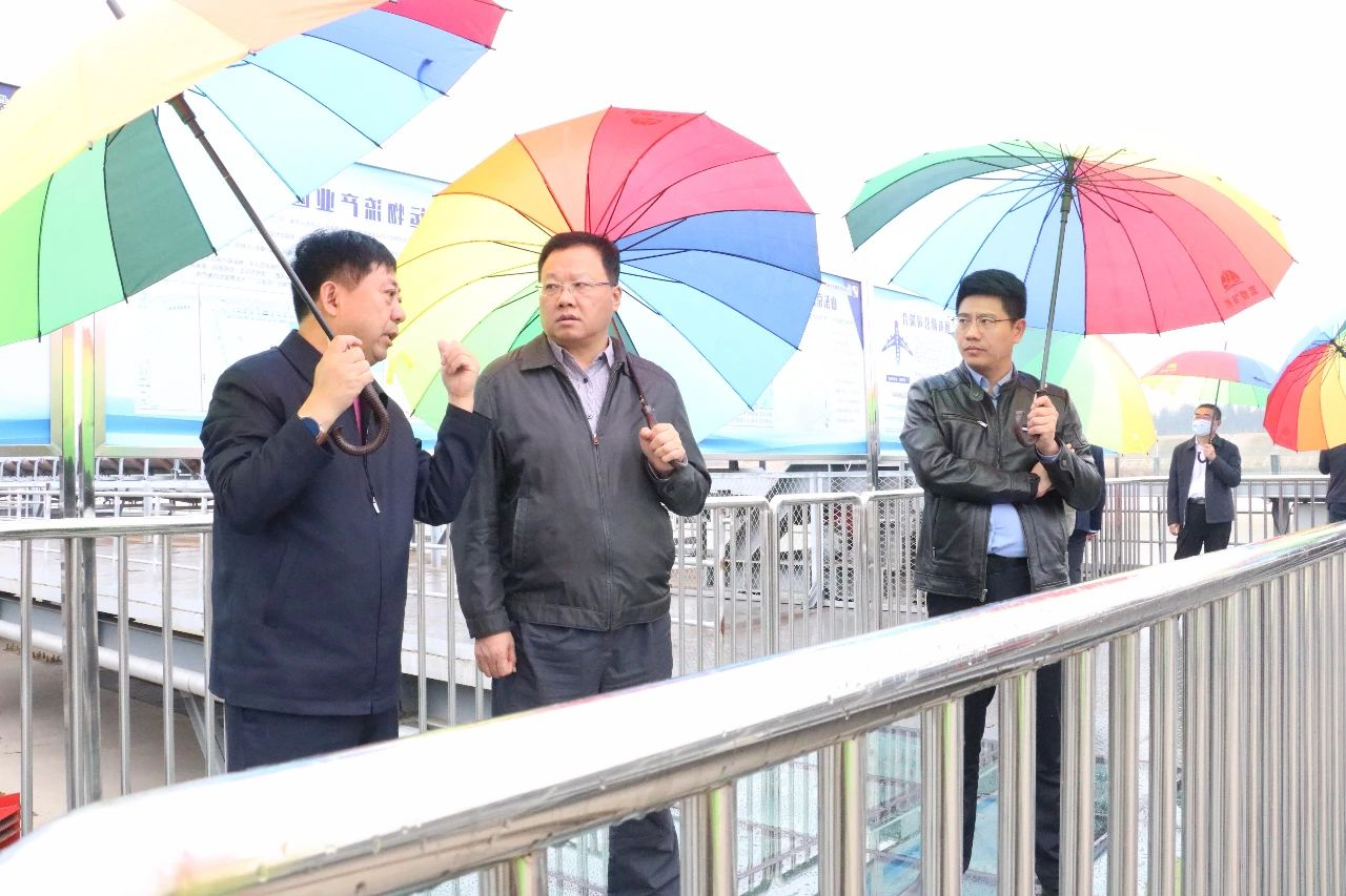 1602548842321809.jpg 华能集团客人到济矿物流公司调研考察.jpg