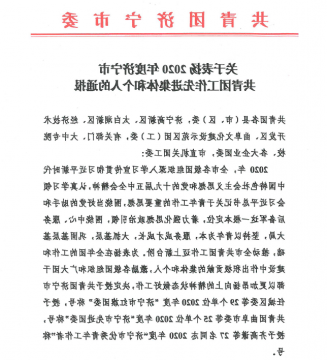 喜讯丨集团公司团委荣获2020年度“济宁市红旗团委”称号