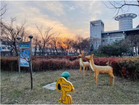 秋韵丨阳城煤电：矿区秋色惹人醉