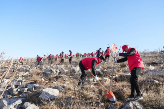 “万众红心”点缀绿水青山——济宁能源开展学雷锋义务植树活动