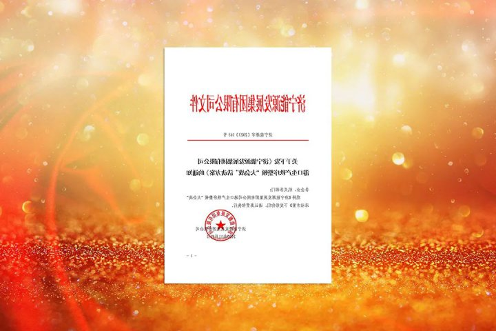 擦亮港航服务品牌！济宁能源下达港口生产秩序整顿“大会战”工作任务