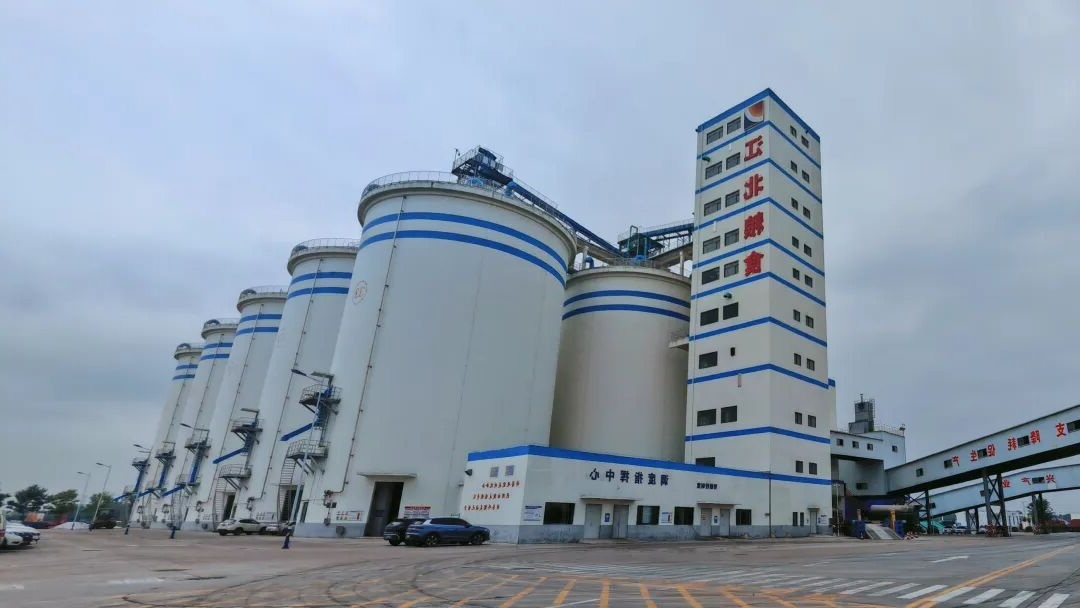 1762223744726161.jpg 05.jpg