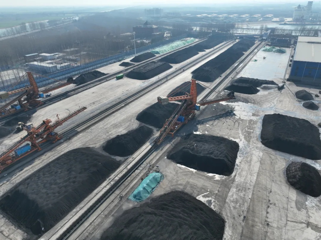 1768359204901343.jpg 02.jpg